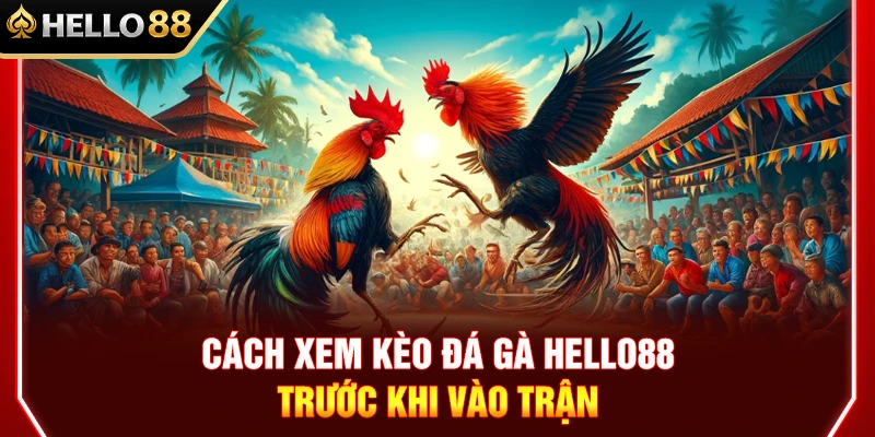 Cách Xem Kèo Đá Gà HELLO88 Trước Khi Vào Trận