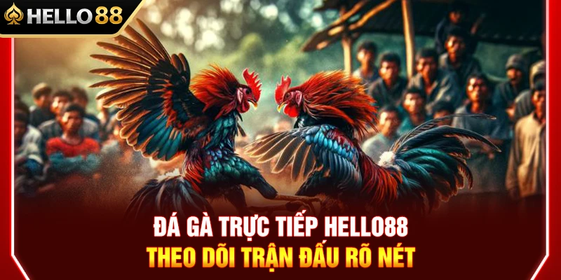 Đá Gà Trực Tiếp HELLO88 – Theo Dõi Trận Đấu Rõ Nét