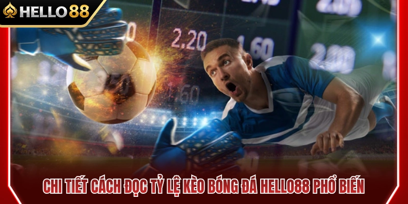 Hướng dẫn đọc tỷ lệ kèo bóng đá HELLO88 thông dụng nhất 