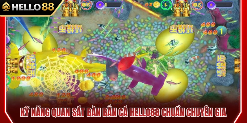 Cách quan sát bàn bắn cá HELLO88 chuẩn cao thủ 