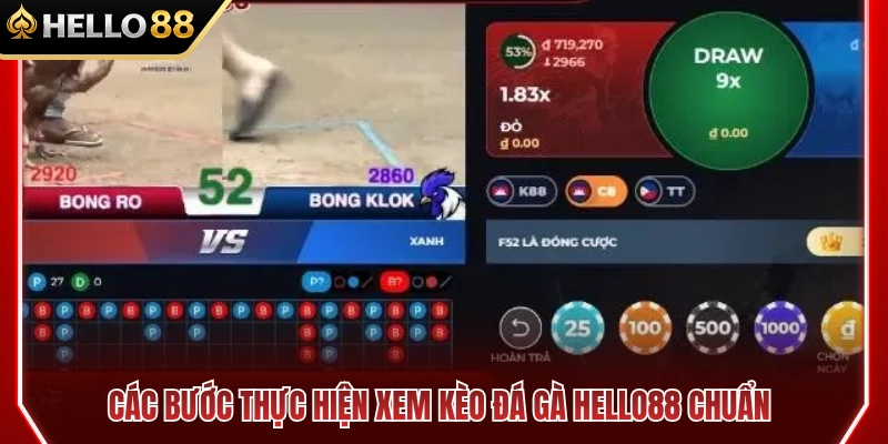 Các bước xem kèo đá gà HELLO88 chuẩn xác 